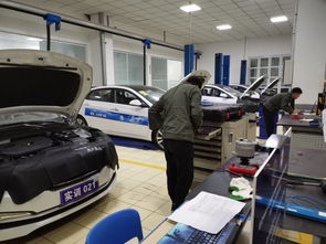 汽车工程系积极参与汽车领域1+X证书试考评会，助力学生技术开发能力提升